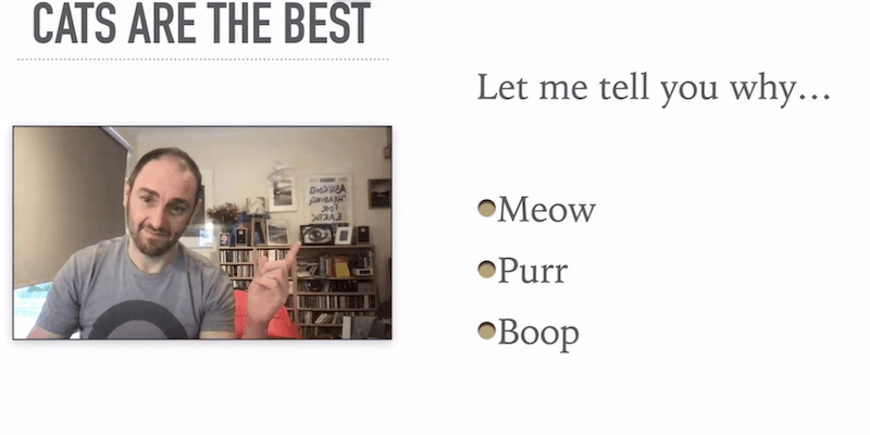 Put yourself in the picture: zoom screen share hacking